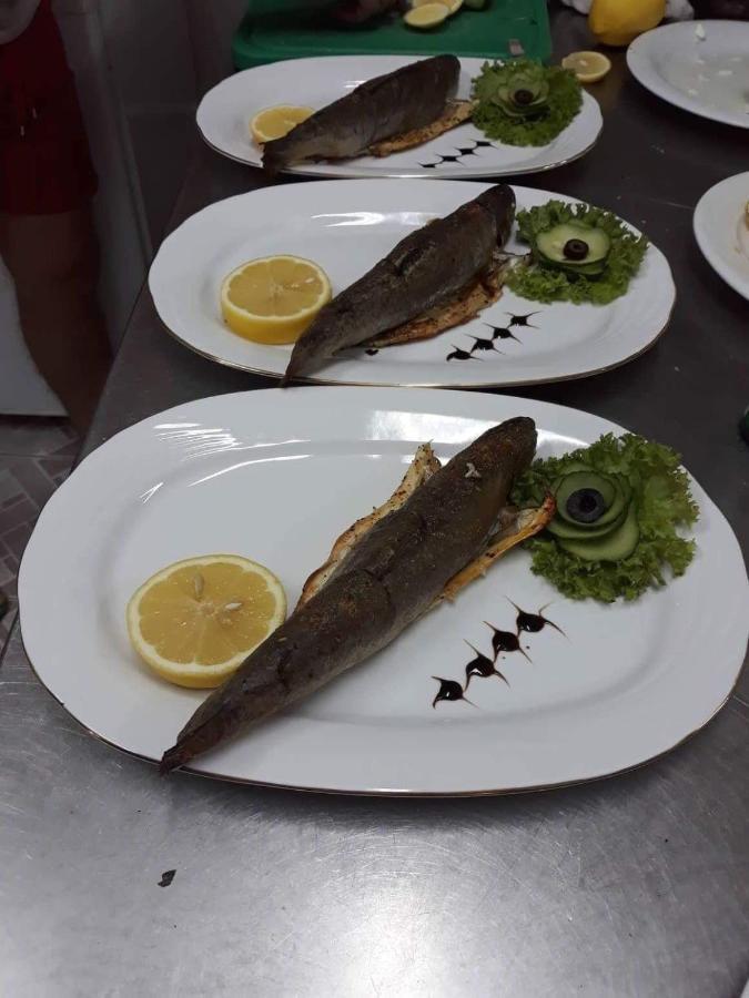 Pensiunea Scoika Steaguri Neptun Esterno foto